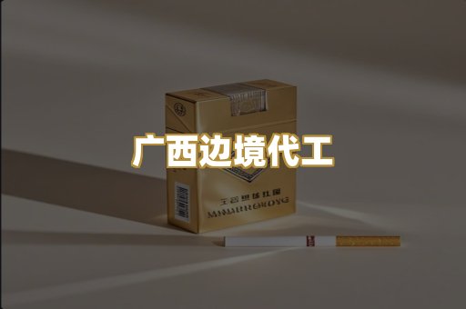 广西边境代工